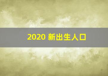 2020 新出生人口